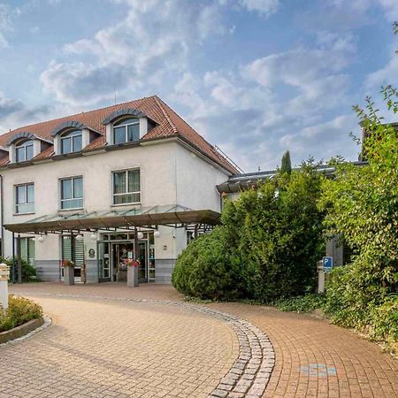 Best Western Hotel Heidehof Hermannsburg Exteriér fotografie